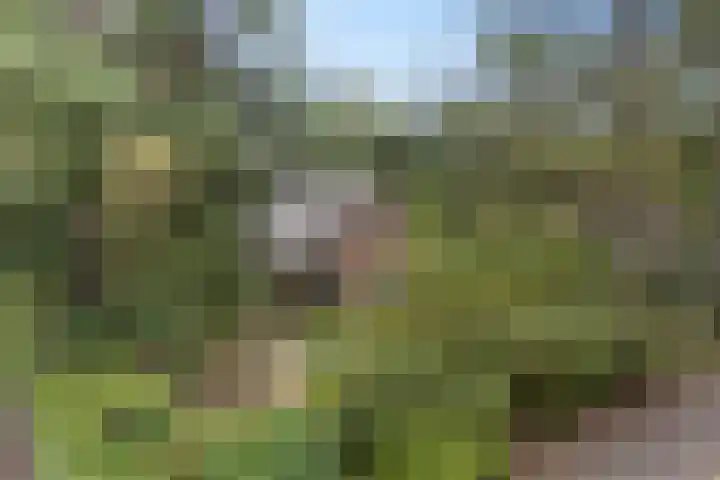 Witte Zand 19 a Oosterhesselen thumbnail 30