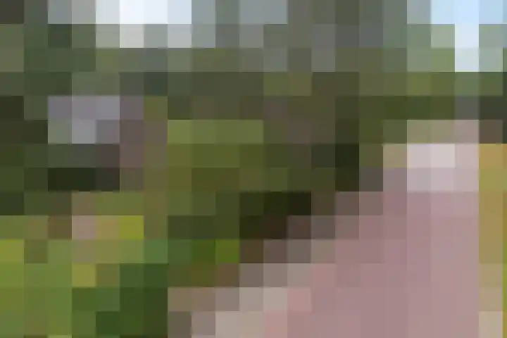 Witte Zand 19 a Oosterhesselen thumbnail 31