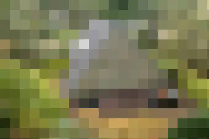 Witte Zand 19 a Oosterhesselen thumbnail 33