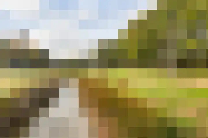 Witte Zand 19 a Oosterhesselen thumbnail 35