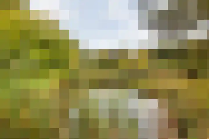 Witte Zand 19 a Oosterhesselen thumbnail 36