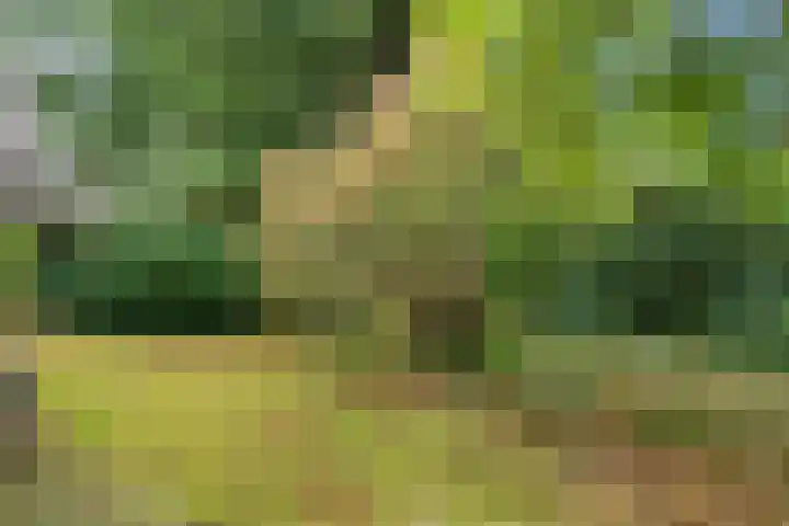 Witte Zand 19 a Oosterhesselen thumbnail 4