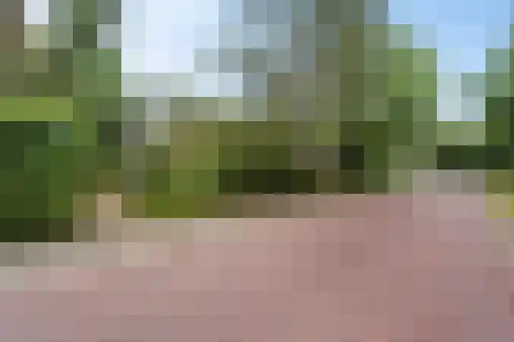 Witte Zand 19 a Oosterhesselen thumbnail 5
