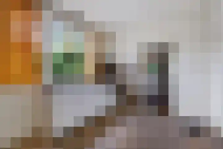 Witte Zand 19 a Oosterhesselen thumbnail 9