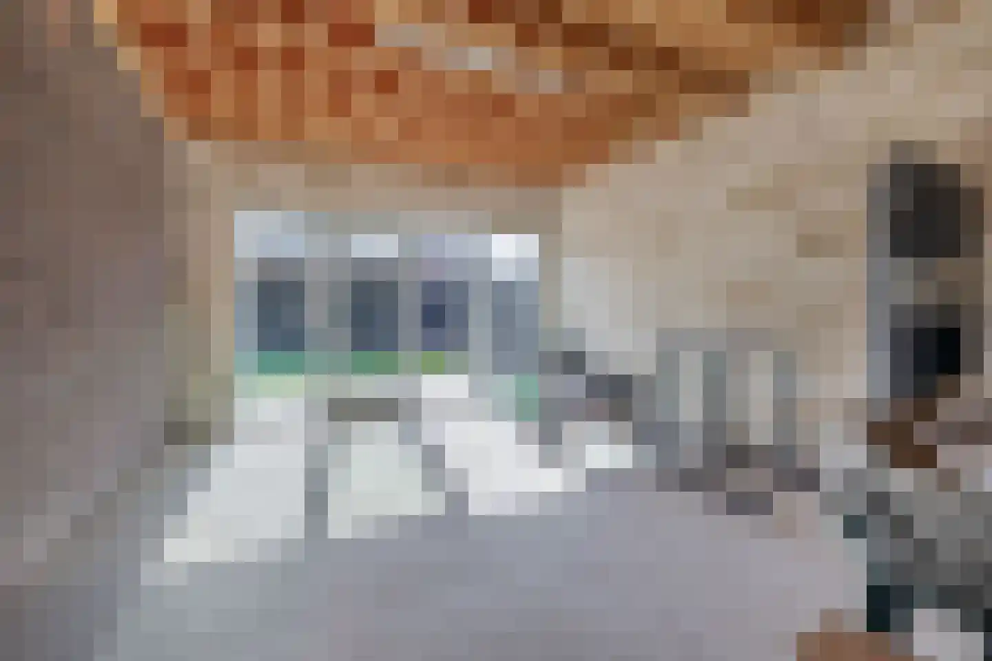 Wittebergstraat 17 Lomm thumbnail 10