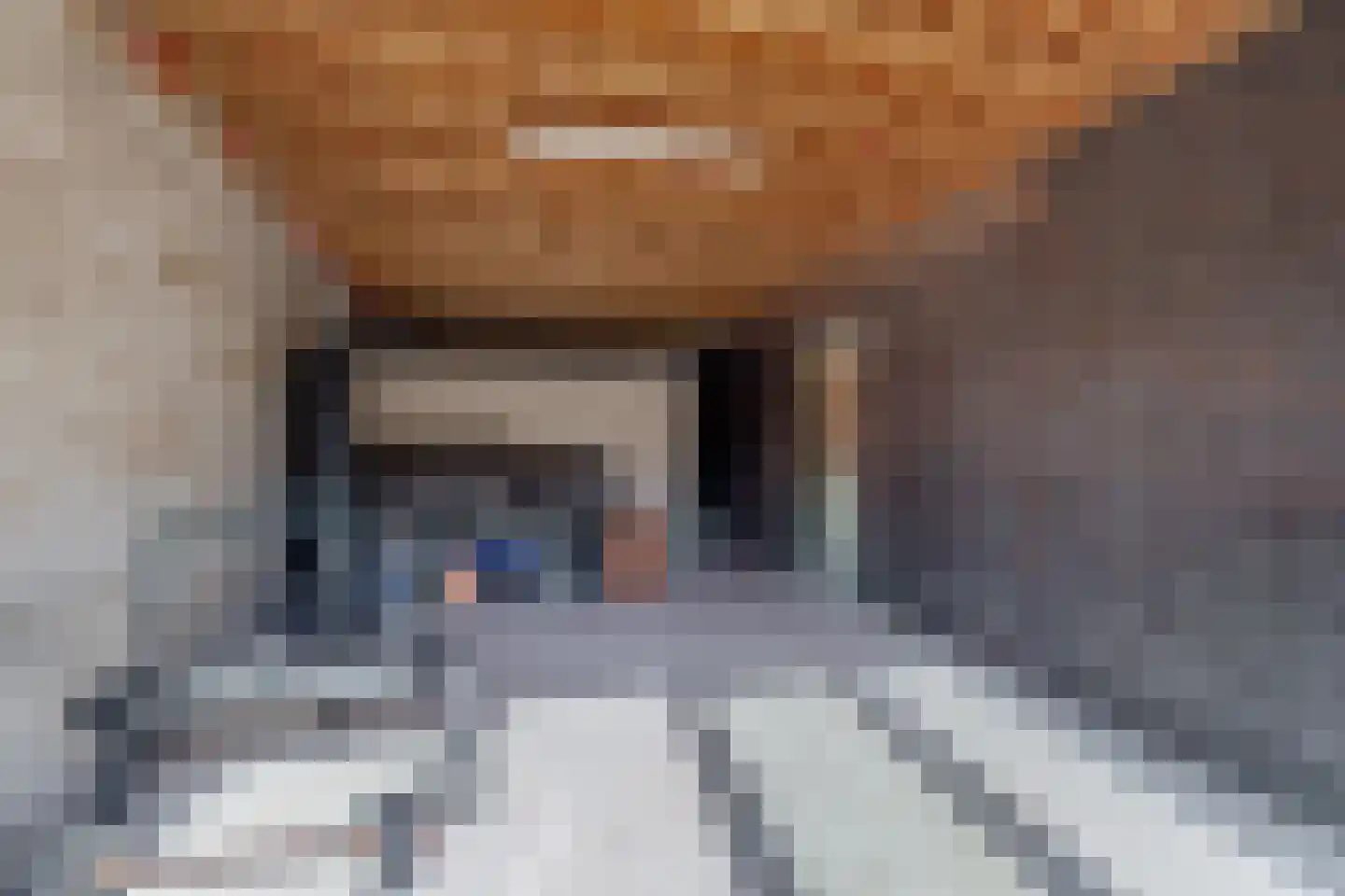 Wittebergstraat 17 Lomm thumbnail 11