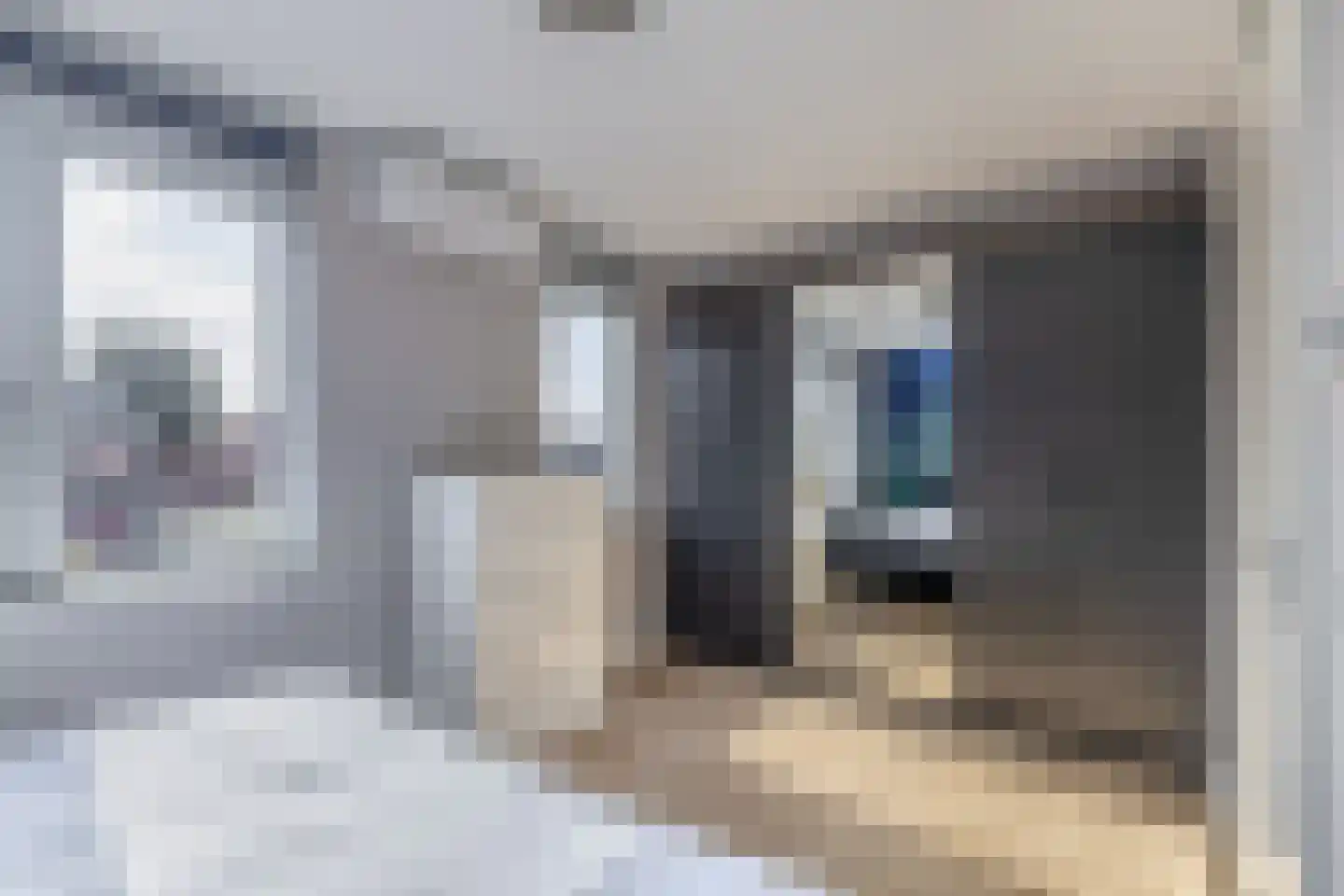 Wittebergstraat 17 Lomm thumbnail 14