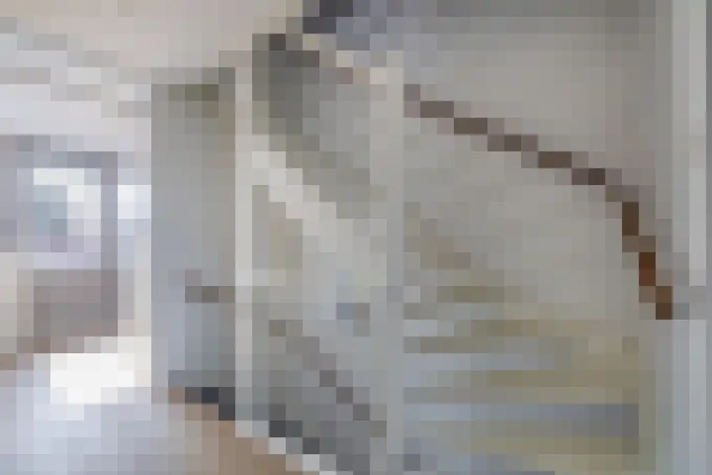 Wittebergstraat 17 Lomm thumbnail 19