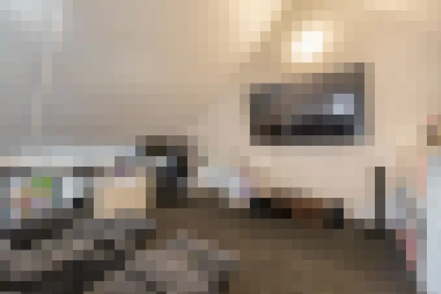Wittebergstraat 17 Lomm thumbnail 20