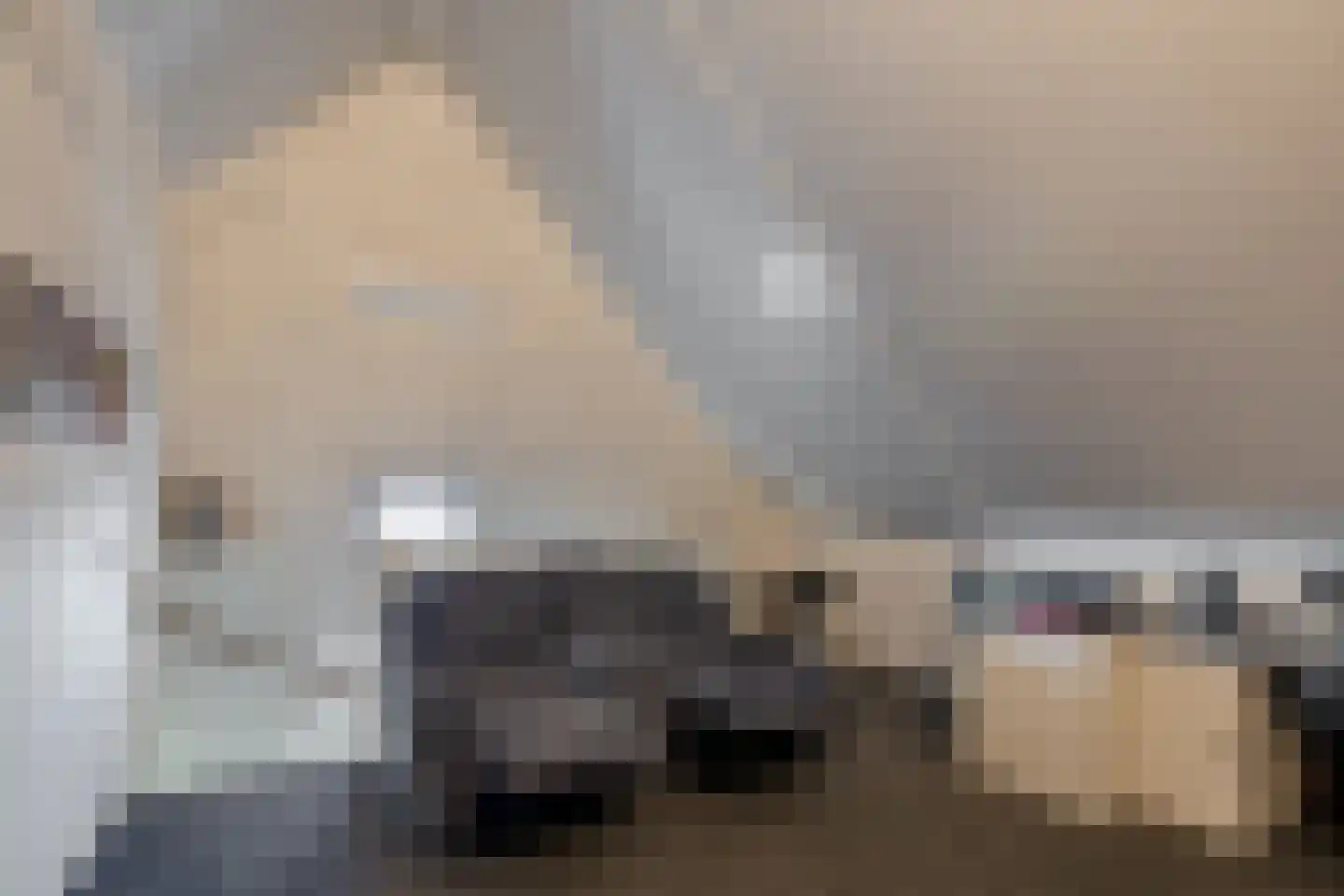 Wittebergstraat 17 Lomm thumbnail 21