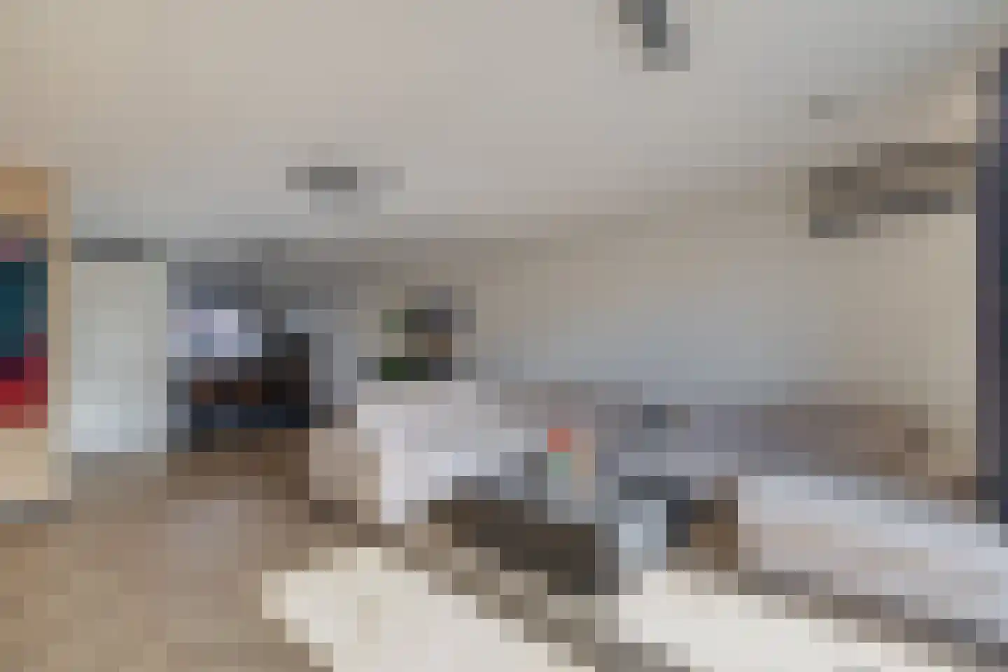 Wittebergstraat 17 Lomm thumbnail 4