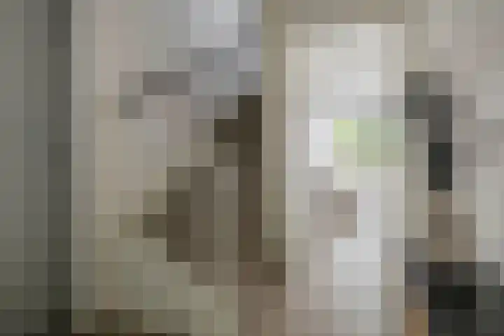 Wittebergstraat 23 Lomm thumbnail 11