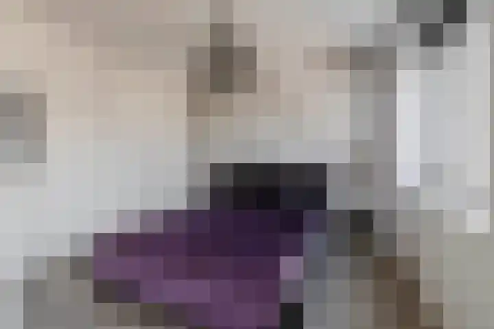 Wittebergstraat 23 Lomm thumbnail 12