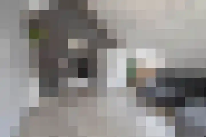 Wittebergstraat 23 Lomm thumbnail 19