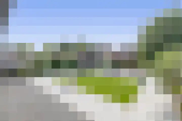 Wittebergstraat 23 Lomm thumbnail 21