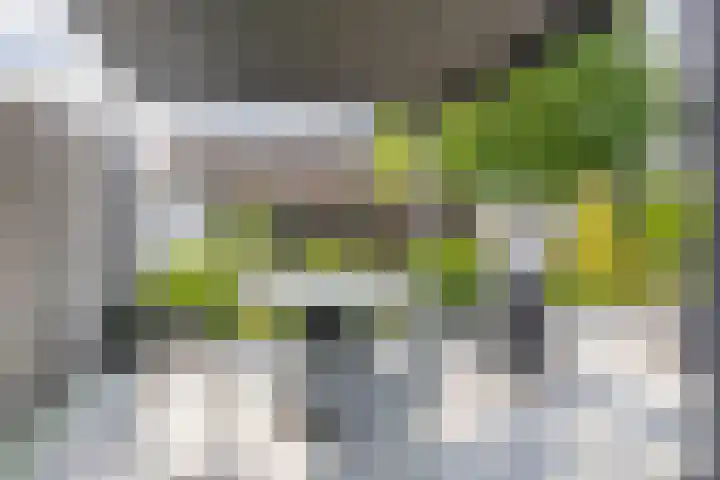 Wittebergstraat 23 Lomm thumbnail 23