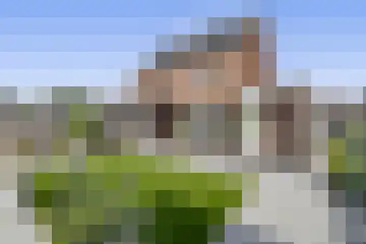 Wittebergstraat 23 Lomm thumbnail 24