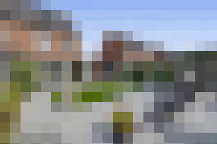 Wittebergstraat 23 Lomm thumbnail 25