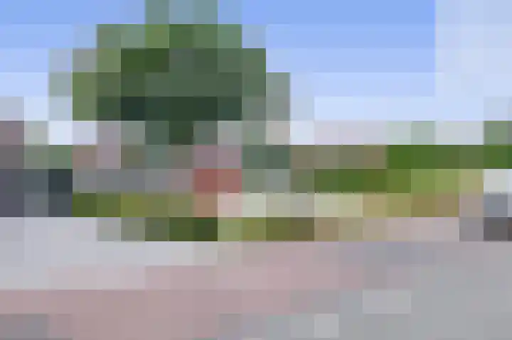 Wittebergstraat 23 Lomm thumbnail 28