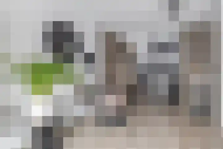 Wittebergstraat 23 Lomm thumbnail 5