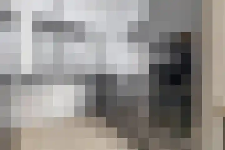 Wittebergstraat 23 Lomm thumbnail 6