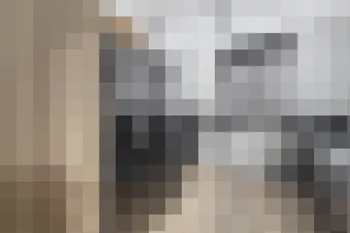 Wittebergstraat 23 Lomm thumbnail 7