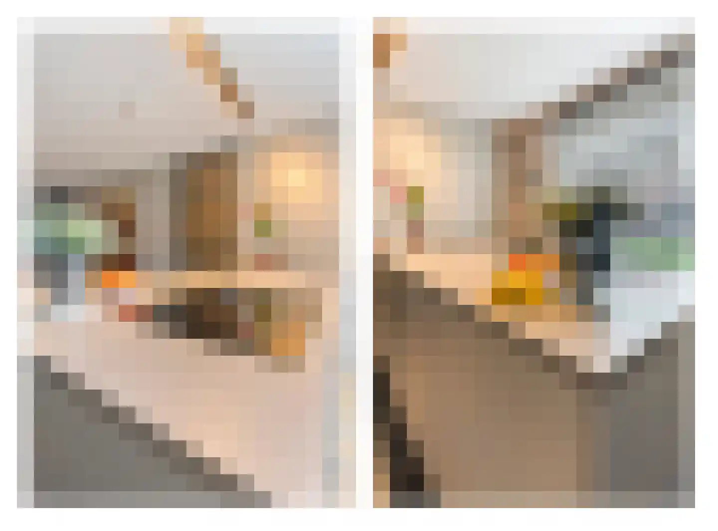 Wittebergstraat 26 Lomm thumbnail 13