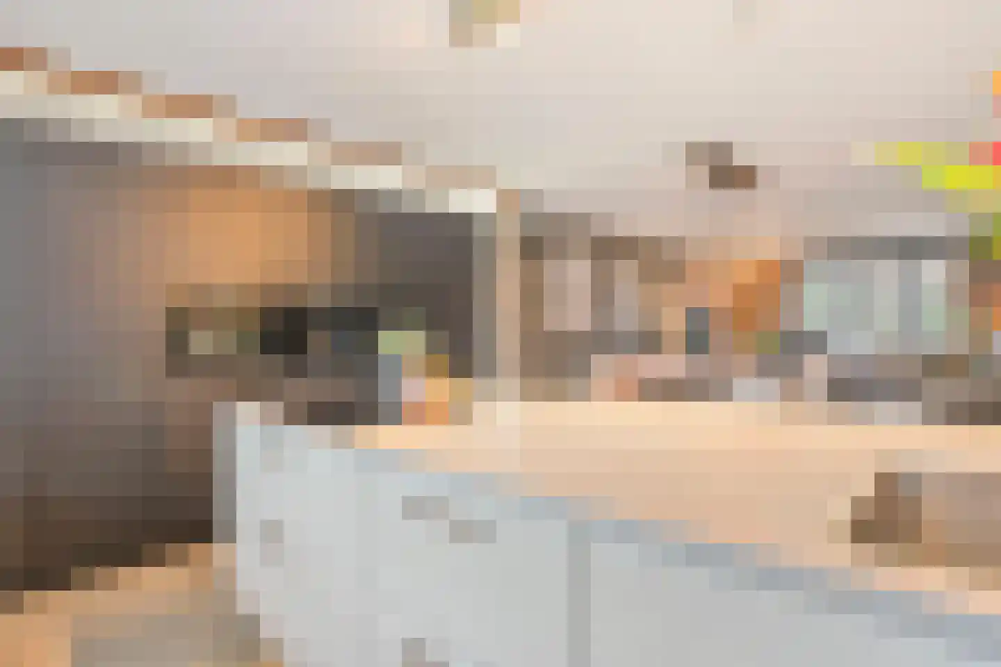 Wittebergstraat 26 Lomm thumbnail 14