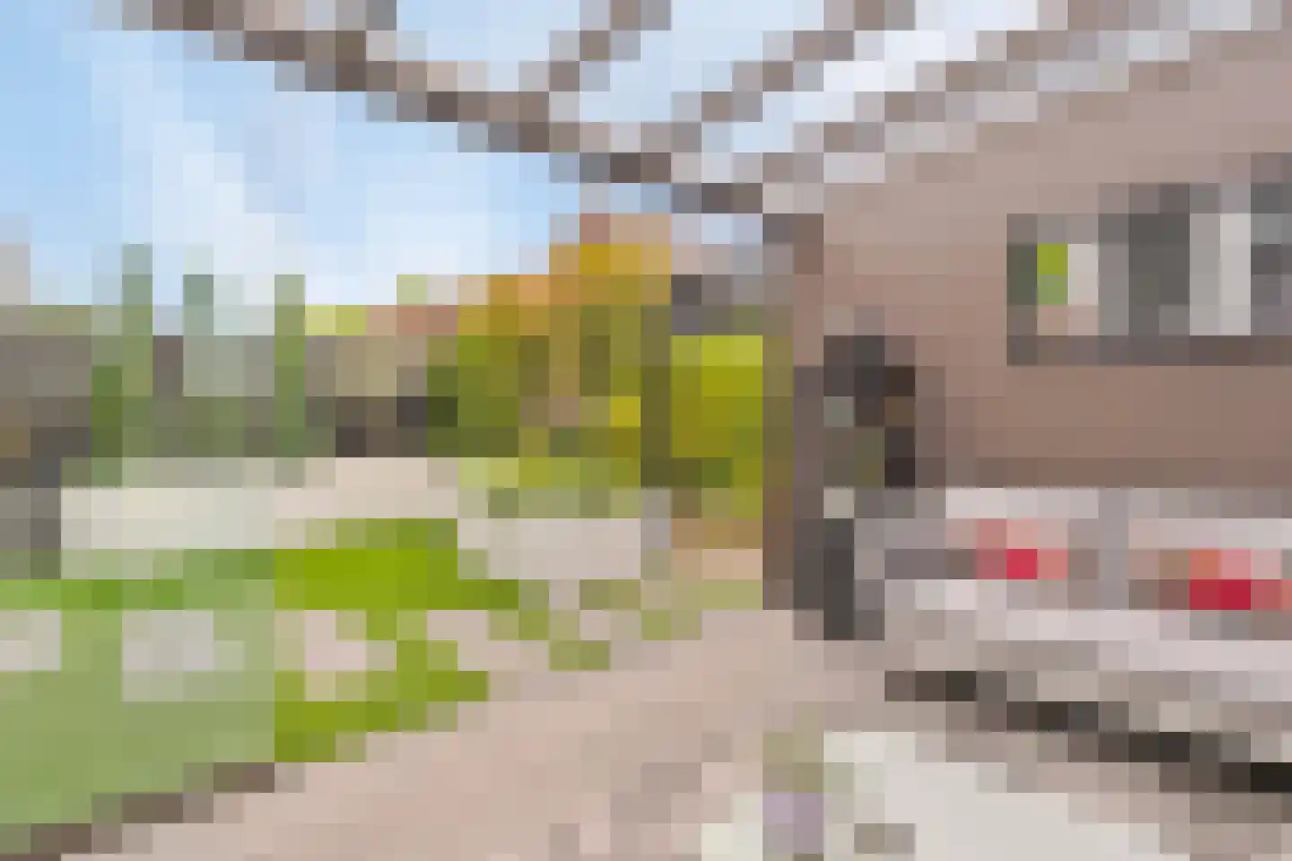Wittebergstraat 26 Lomm thumbnail 15