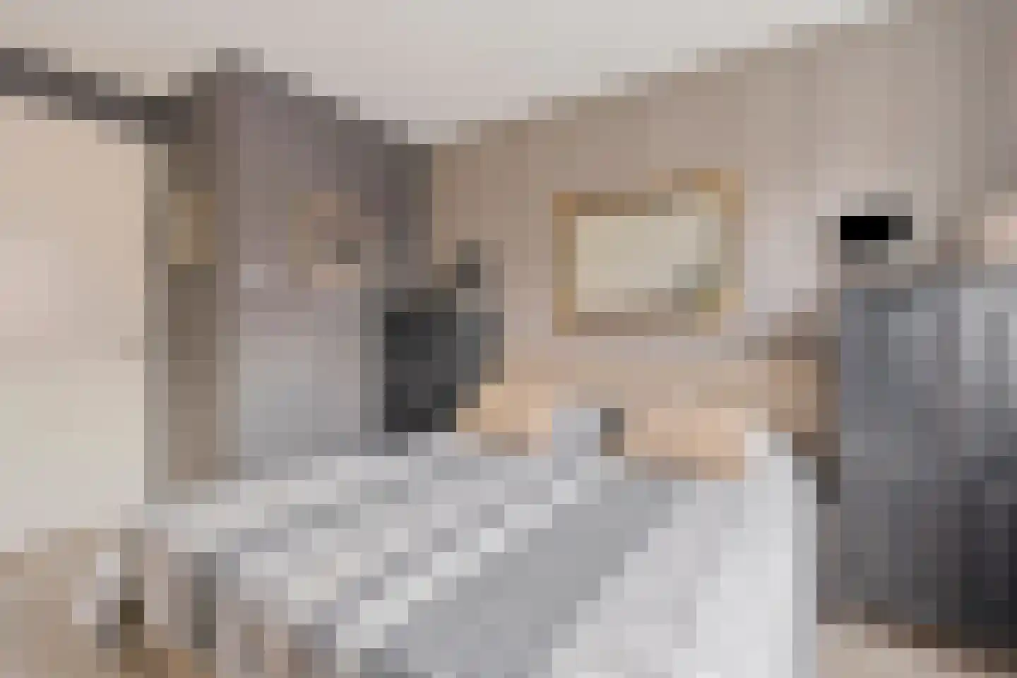 Wittebergstraat 26 Lomm thumbnail 26