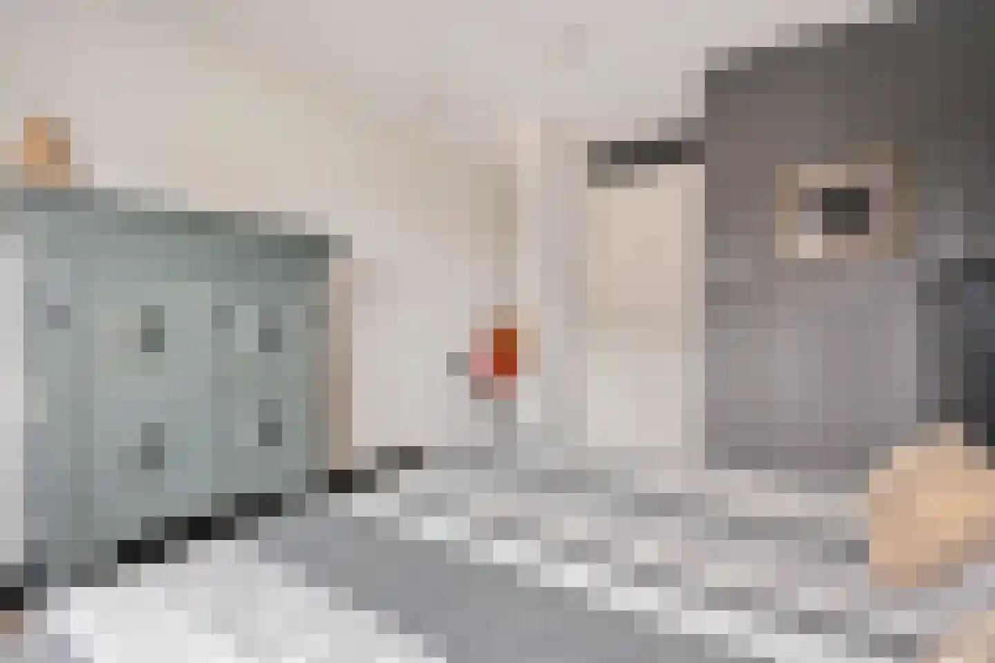Wittebergstraat 26 Lomm thumbnail 27