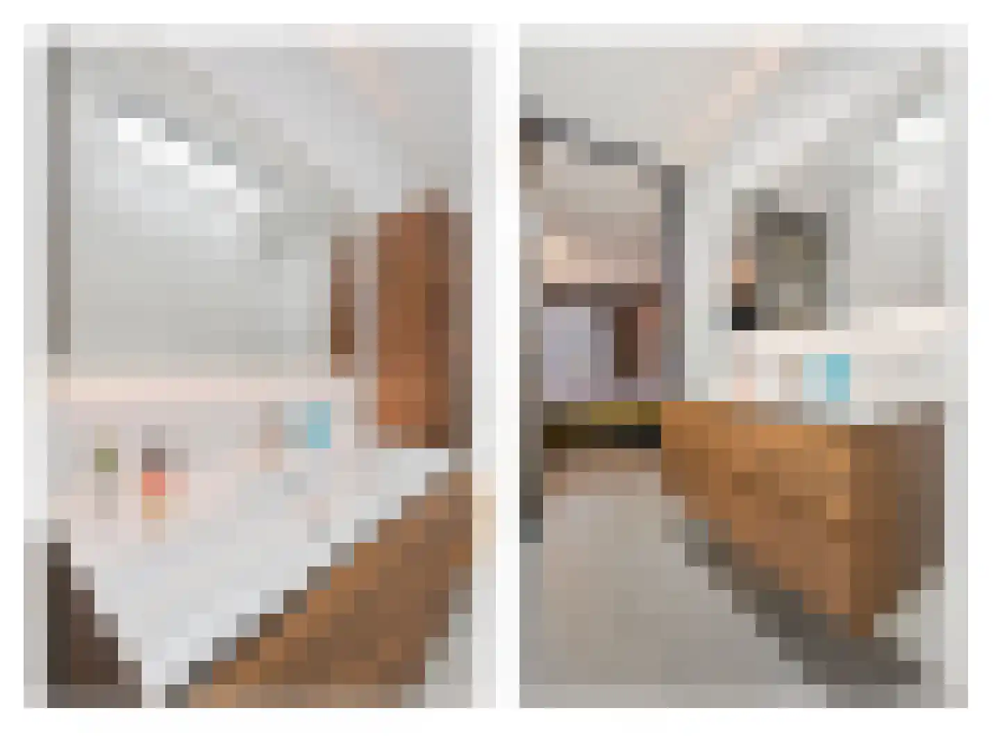 Wittebergstraat 26 Lomm thumbnail 29