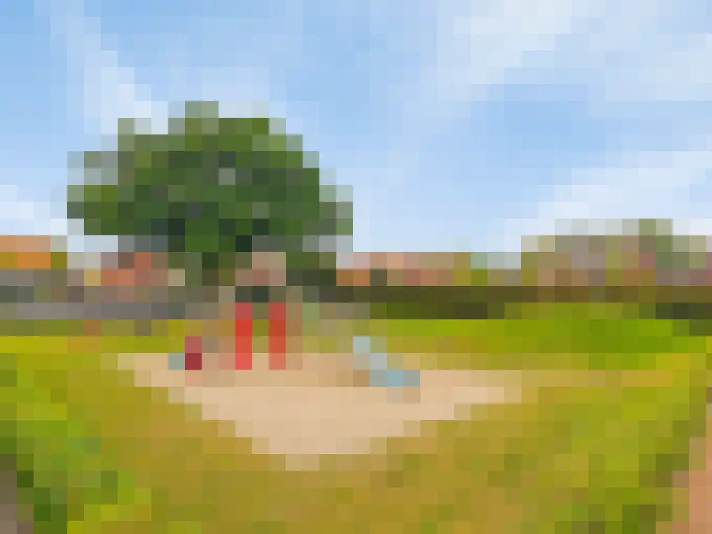 Wittebergstraat 26 Lomm thumbnail 32