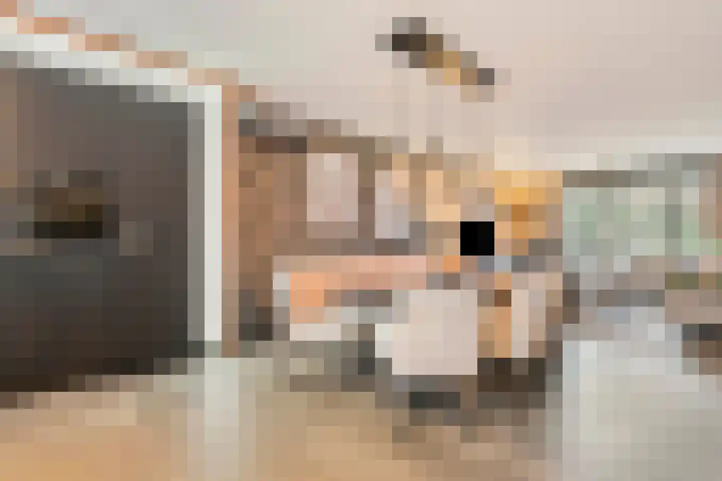 Wittebergstraat 26 Lomm thumbnail 5