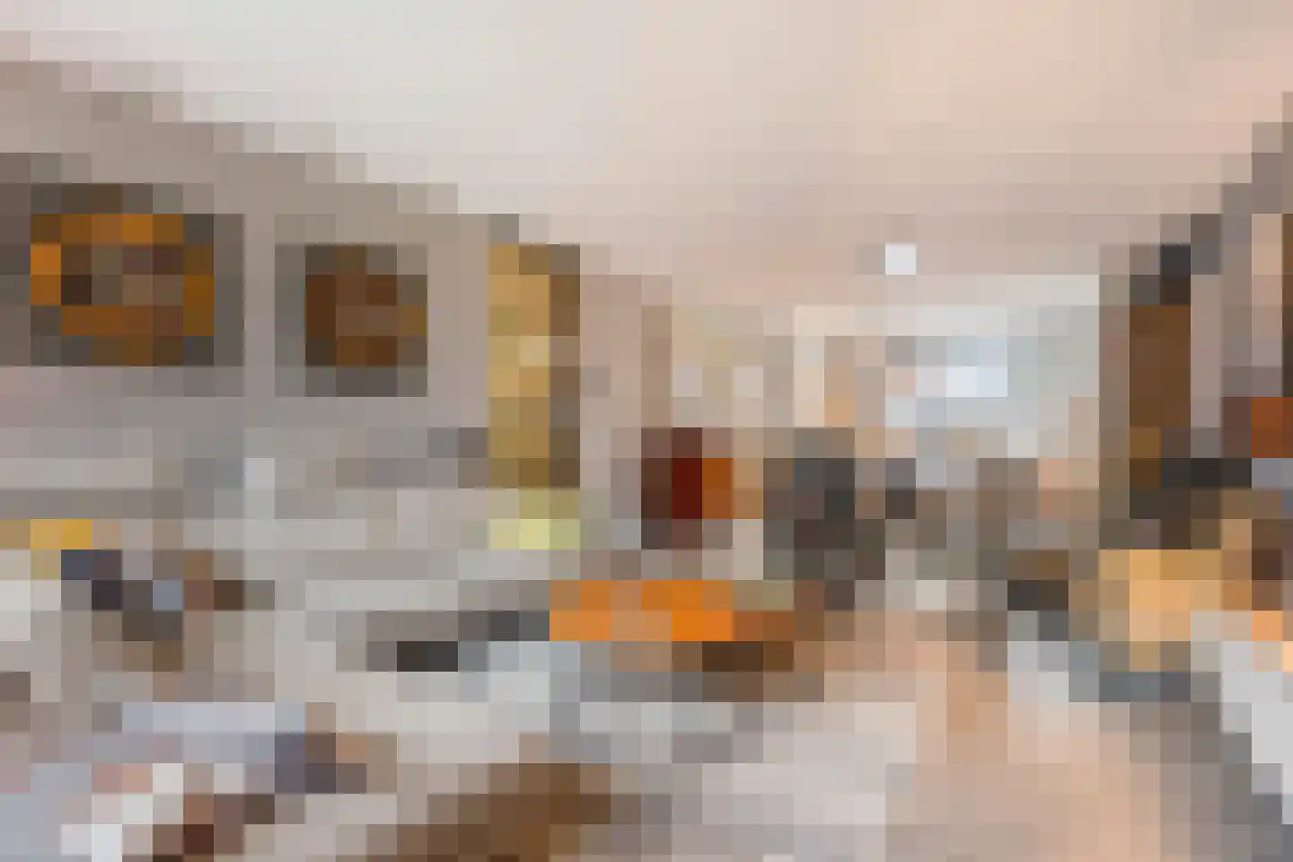 Wittebergstraat 26 Lomm thumbnail 7