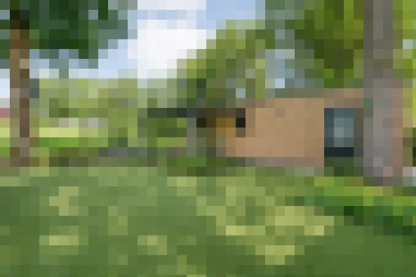 Wittebergweg 18 C19 Nutter thumbnail 17