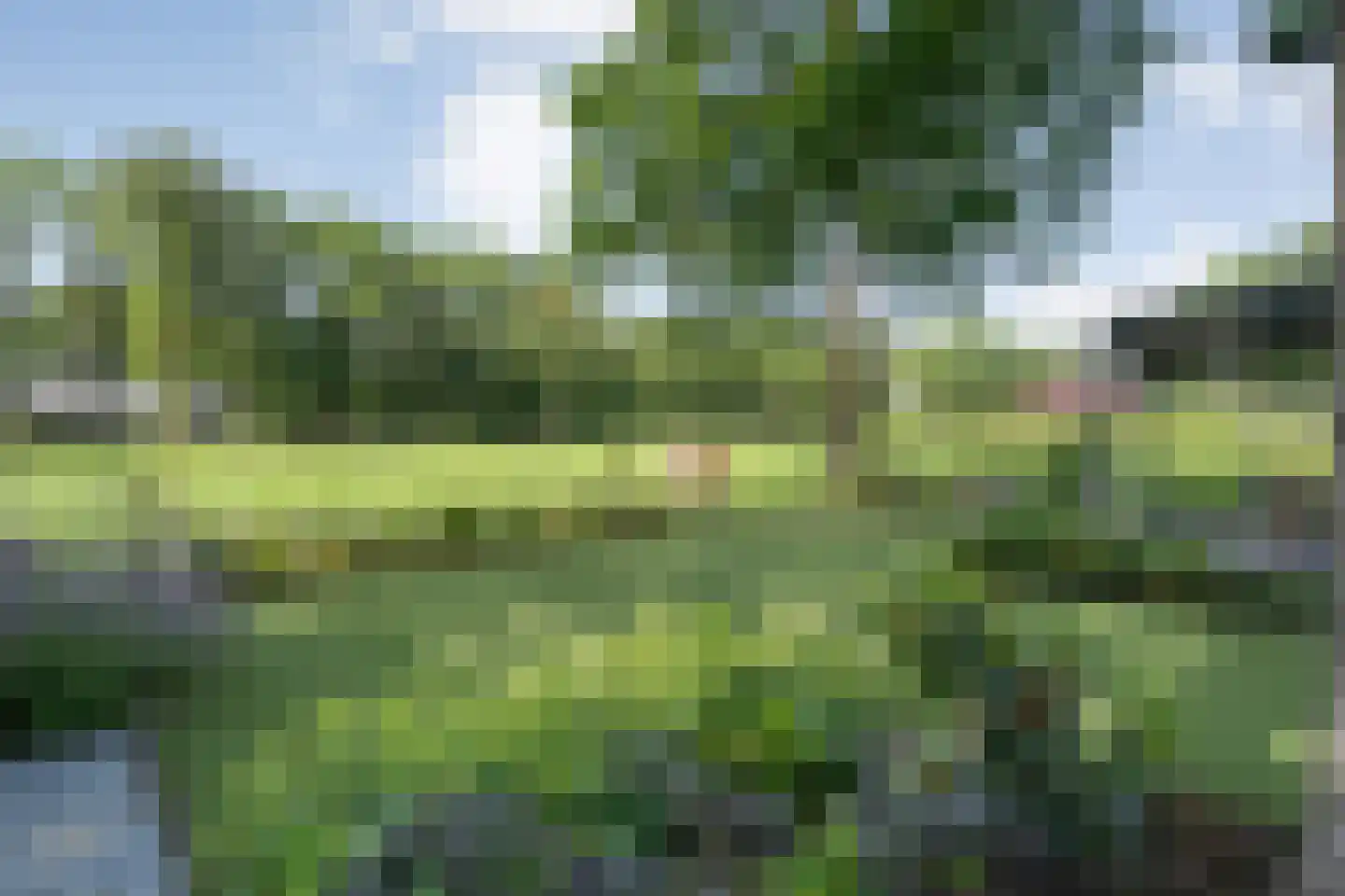 Wittebergweg 18 C19 Nutter thumbnail 18