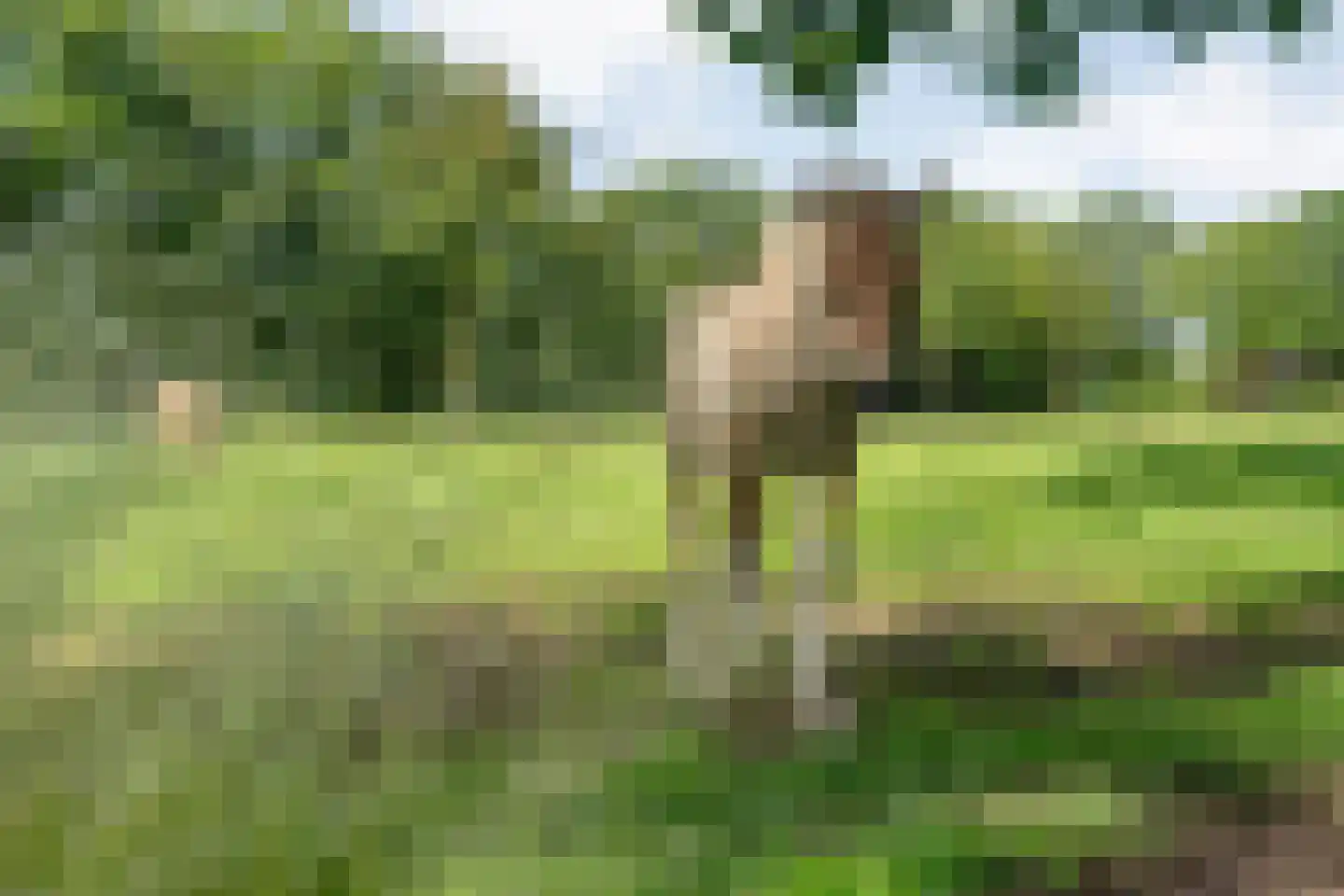 Wittebergweg 18 C19 Nutter thumbnail 22