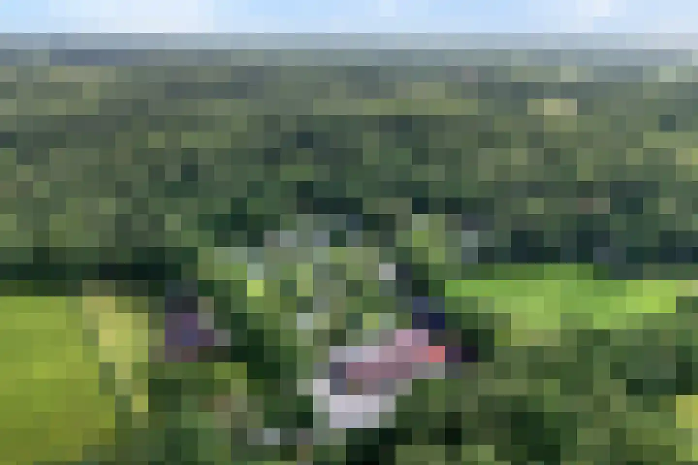 Wittebergweg 18 C19 Nutter thumbnail 25