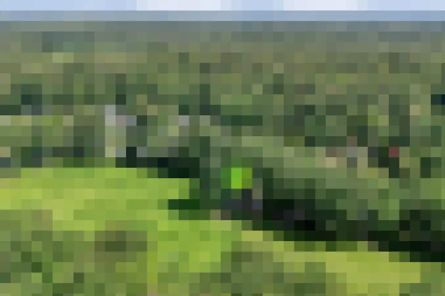 Wittebergweg 18 C19 Nutter thumbnail 26