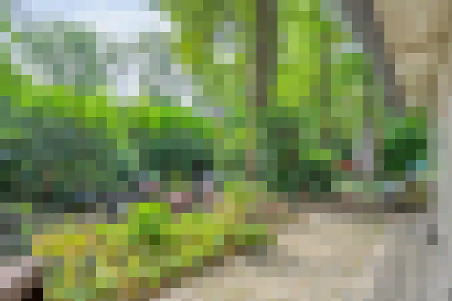 Wittebergweg 18 H37 Nutter thumbnail 15