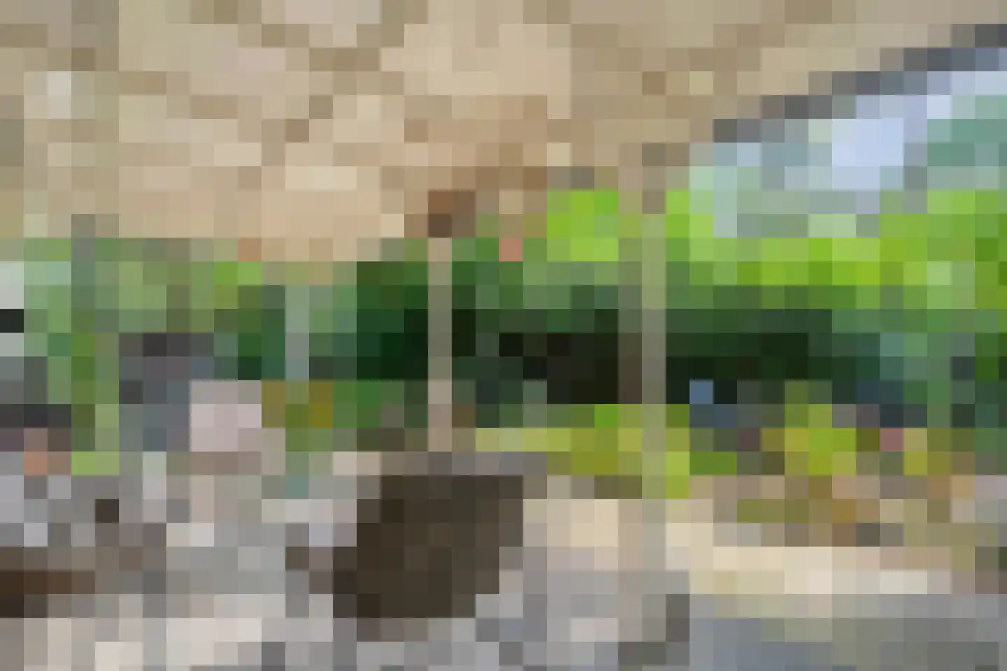 Wittebergweg 18 H37 Nutter thumbnail 16