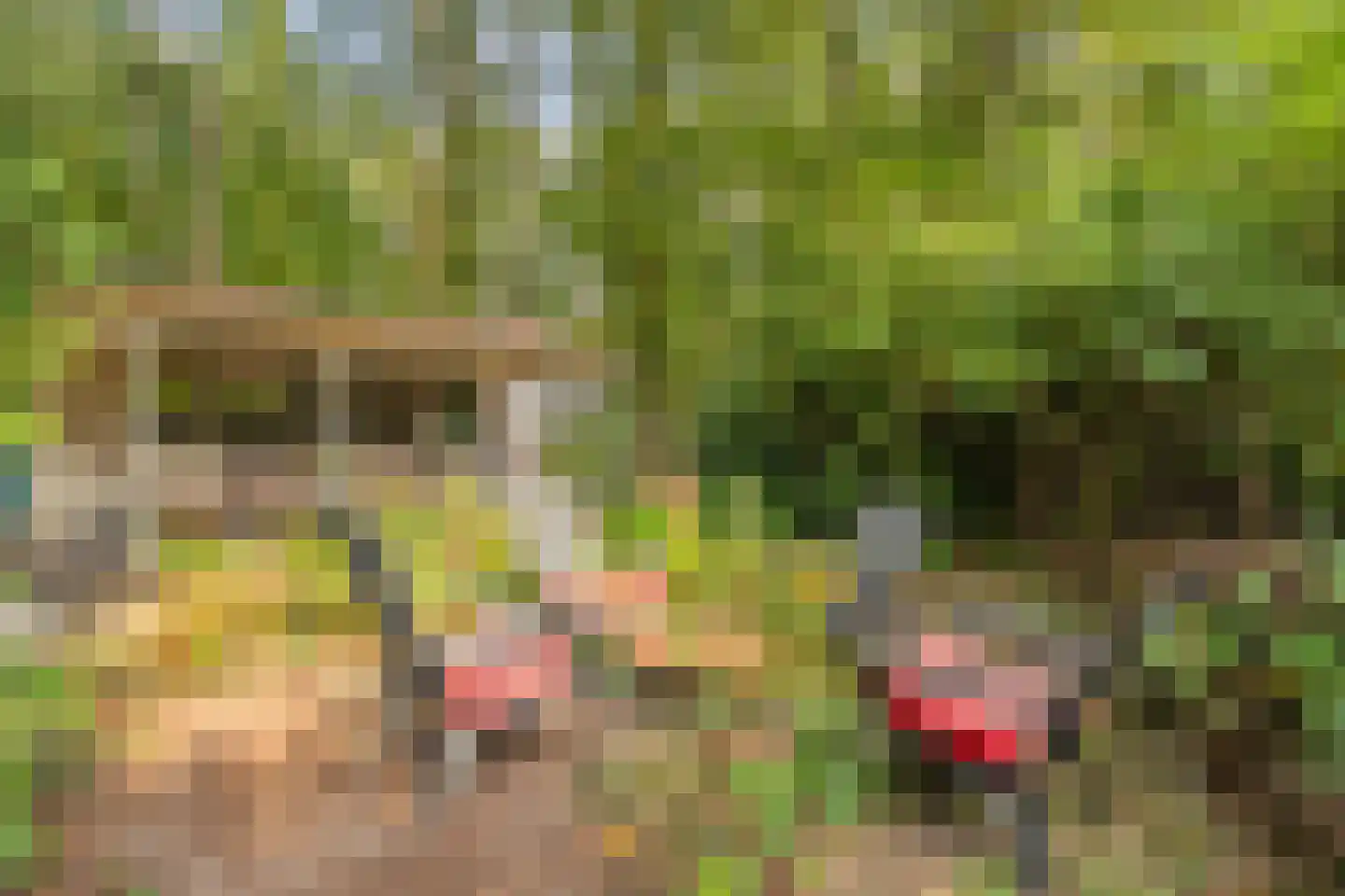 Wittebergweg 18 H37 Nutter thumbnail 18