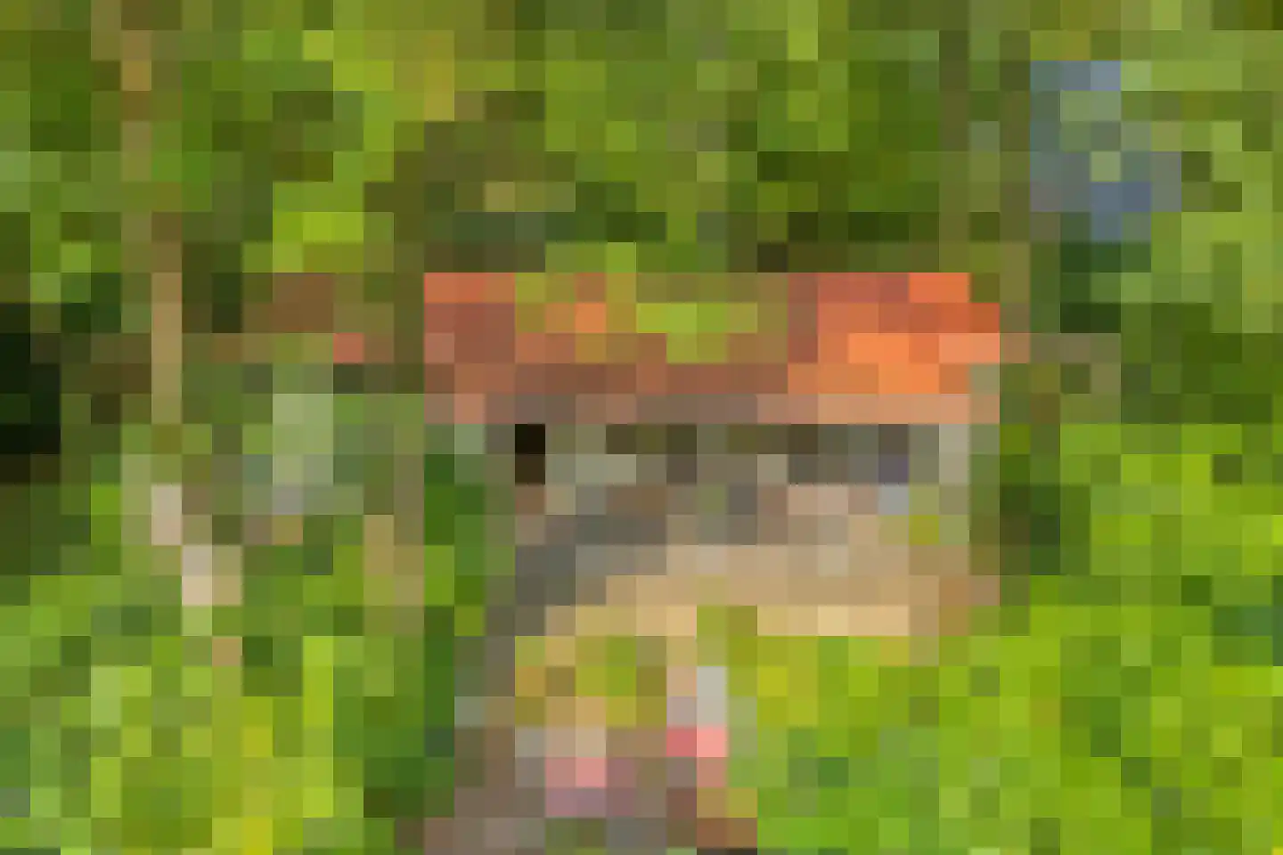 Wittebergweg 18 H37 Nutter thumbnail 20