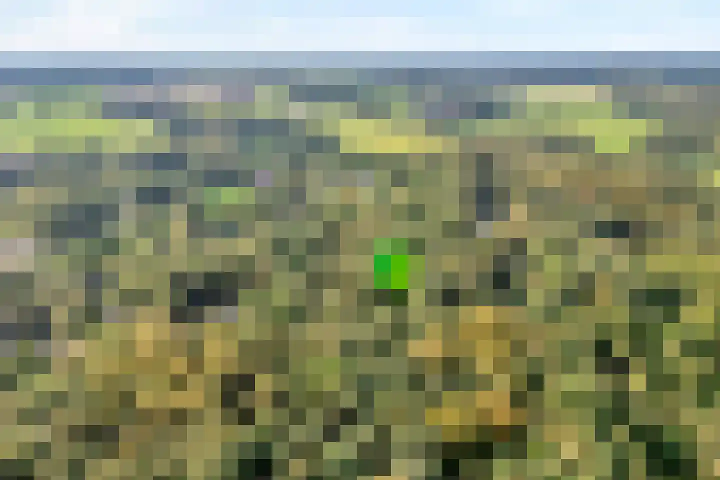 Wittebergweg 18 H37 Nutter thumbnail 21