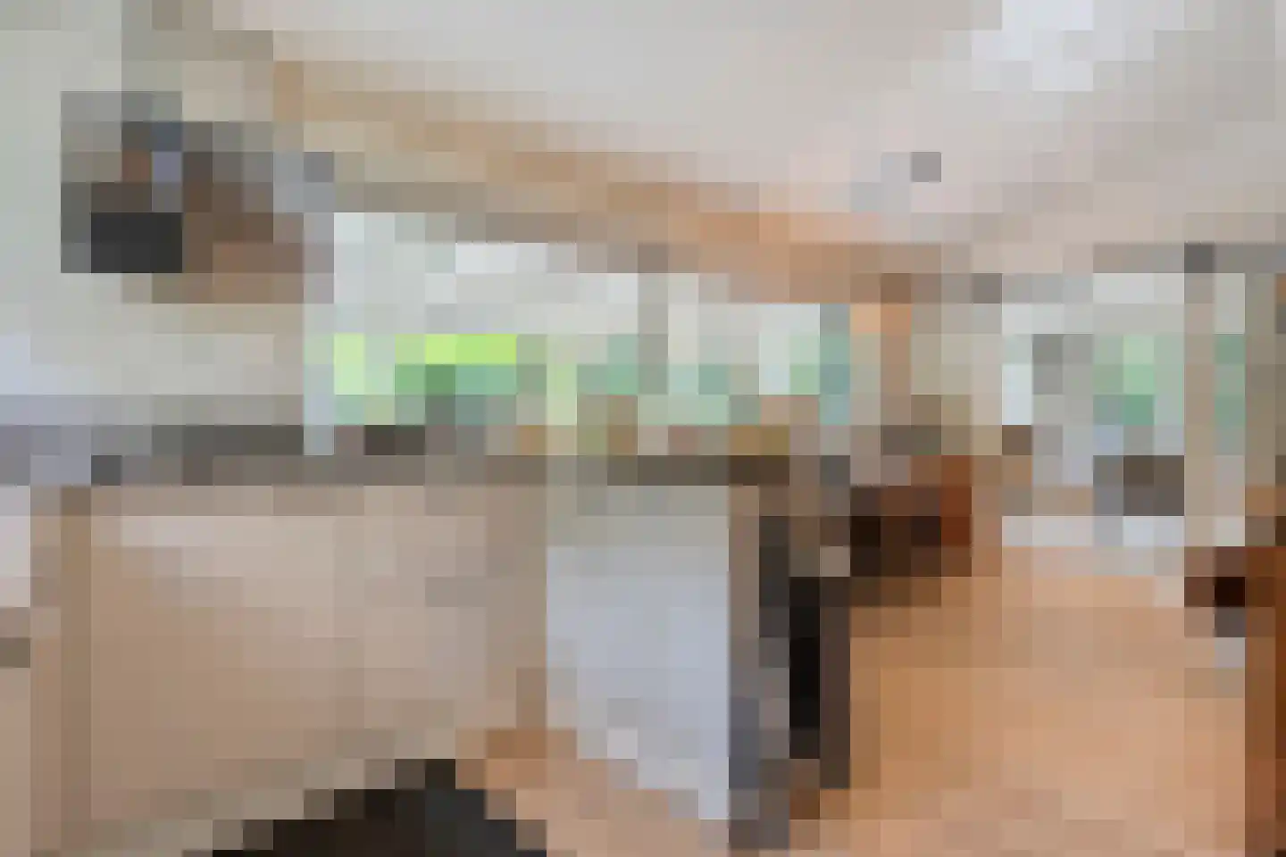 Wittebergweg 18 H37 Nutter thumbnail 4