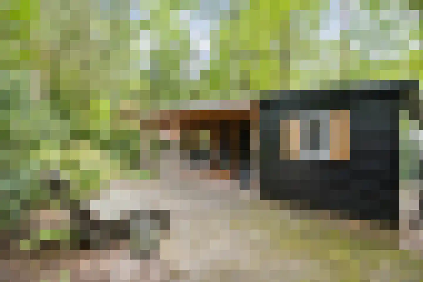 Wittebergweg 18 H5 Nutter thumbnail 19