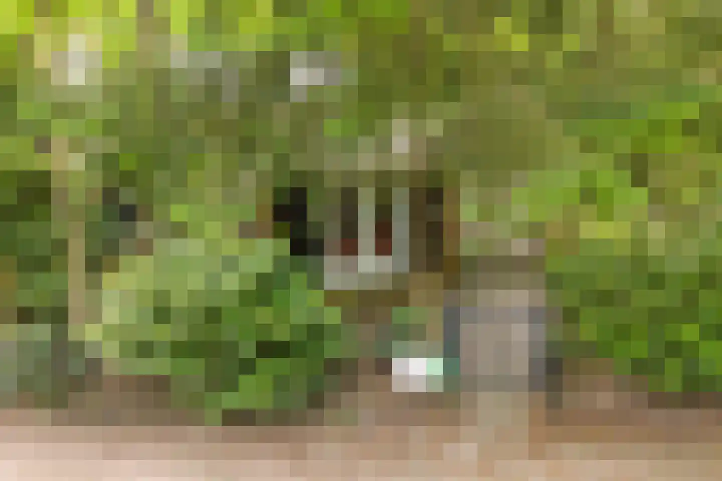 Wittebergweg 18 H5 Nutter thumbnail 22