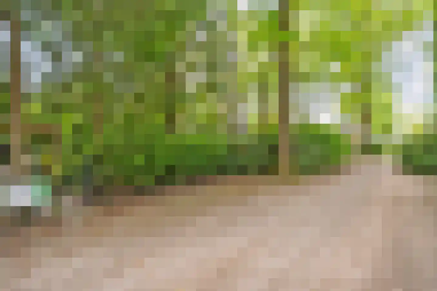 Wittebergweg 18 H5 Nutter thumbnail 23