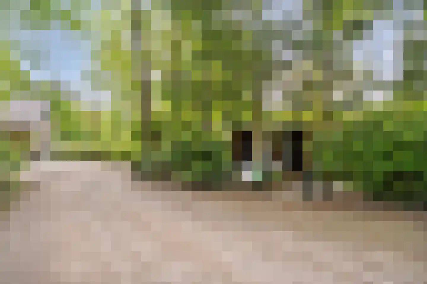 Wittebergweg 18 H5 Nutter thumbnail 24